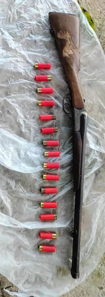 gun