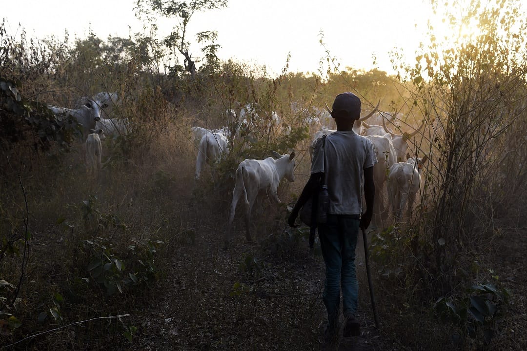 Herdsmen