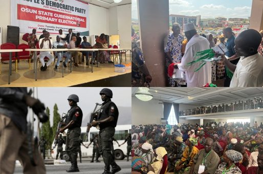 PDP Osun Guber Primary