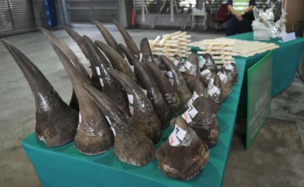 Wildlife Trafficking