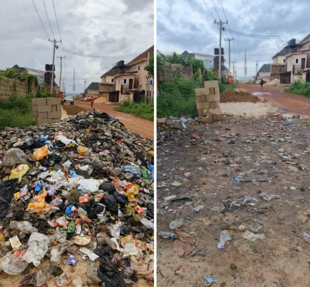 Environmental Changes