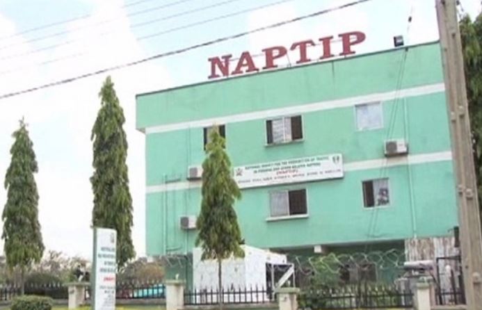 NAPTIP