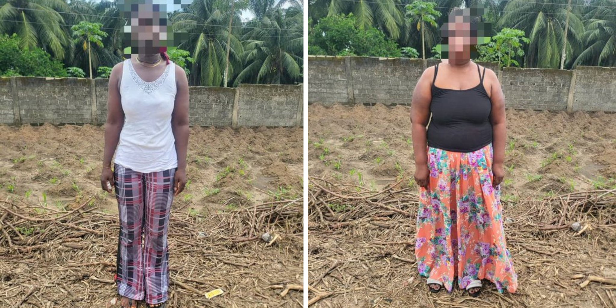 Transnational Kidnapping Syndicate