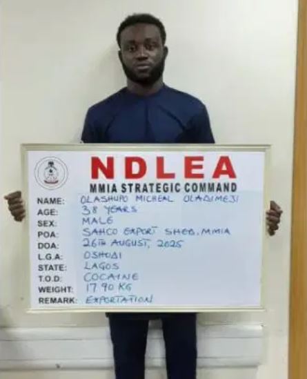 Drug Cartel Kingpins