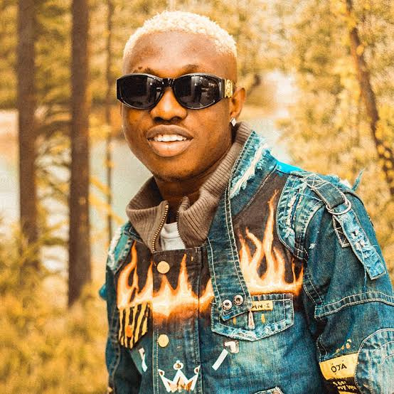 Zlatan Ibile
