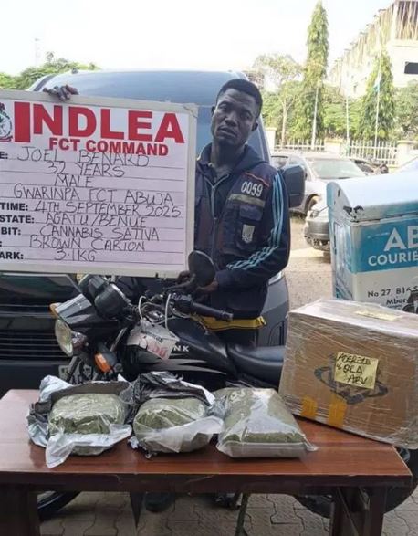 International Drug Cartel