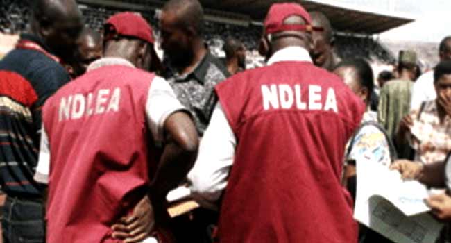 NDLEA