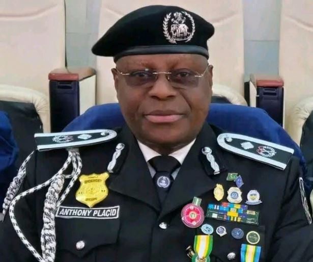 IGP Tunji Disu Removes Benjamin Hundeyin, Appoints Placid As New Force PRO