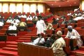 Nigerian Senate Adopts Electronic Voting System