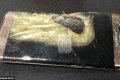 Omg! Samsung Galaxy S7 Explodes While Charging (See Photos) 