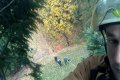 Heartbreaking: See the Final Selfie This Tree Surgeon Took From a Tree Top Before He Fell to His Death