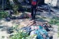 Dead Bodies Everywhere: Fulani Herdsmen Attack Adamawa, Kill Many (Graphic Photos) 