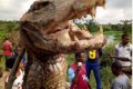 So Scary: Giant Crocodile Caught Alive in Imo State (Photos)
