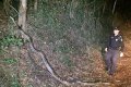 See Photo of Monster Python Snake Encountered by Australian Police Officer