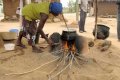 Cooking with Kerosene Dangerous for Pregnant Women - New Study Reveals
