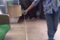 The Hero: See How This Man Battled and Destroyed a Snake On A Train With His Bare Hands (Video)