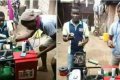 Two Nigerian Young Men Invent Machine That Washes Bitter Leaf (Photos)