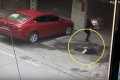Dog Falling From The Sky Knocks Out A Young Woman In Broad Daylight (Video)