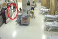 Drama As Young Woman Walks Into A Hospital Holding The Snake That Bit Her (Photos)