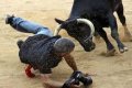 Christmas Tragedy: Cow Taken To Abattoir Attacks And Mauls Butcher To Death In Sapele