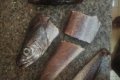 Shocking! See the Fake Iced-fish Man Allegedly Bought That Didn