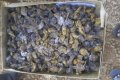 So Unhealthy: See The Chicken Allegedly Fed To Primary School Pupils In Cross River (Photo)