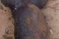 Bizarre Tragedy: How Two Children Were Burnt Beyond Recognition in Delta State (Graphic Photos)