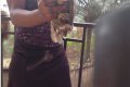 So Scary: See the Strange Bird a Nigerian Girl Killed at Her House (Photos)