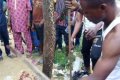 Giant Python Which Reportedly Swallowed A Dog Killed Behind A Church In Ibafo (Photos)