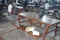 Confusion As Cat Is Spotted Reading With Students At OAU