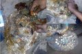 Too Strange! Rings, Old Pennies, Watches, Other Items Found Inside A Goat
