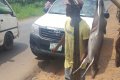 Huge Python Killed In Imo As Hunter Claims It