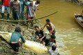 Horror: Villagers Find Human Arm And Leg Inside Belly Of Massive Crocodile After Killing It (Photos)