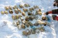 Police In Shock As 54 Human Hands Are Found Inside Snow After Being Cut Off (Photos) 