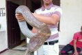 Shocker: Massive Deadly Snake Found Prowling Around People