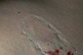 Man Narrates How He Survived Attack After Allegedly Being 