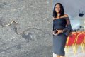 Lady Thanks God After Snake Is Killed Inside A Commercial Bus Going To Onitsha (Photos)