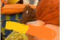 OMG! Passengers Get Stranded In The Middle Of River After Boat Ran Out Of Fuel In Lagos (Video) 