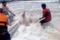 OMG! Bride Falls Inside Sea On Her Wedding Day While Trying To Ride Away On A Jet Ski (Video)