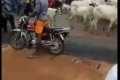 Video Of Nnewi Residents Chasing Fulani Herders Out Of Their Town