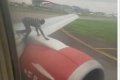 Commotion As Man Runs From Bush, Climbs Azman Air Aircraft Inside Lagos Airport (Video) 