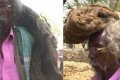 Unbelievable! Meet The Man Who Has Not Cut Or Washed His Hair In 40 Years (Video)