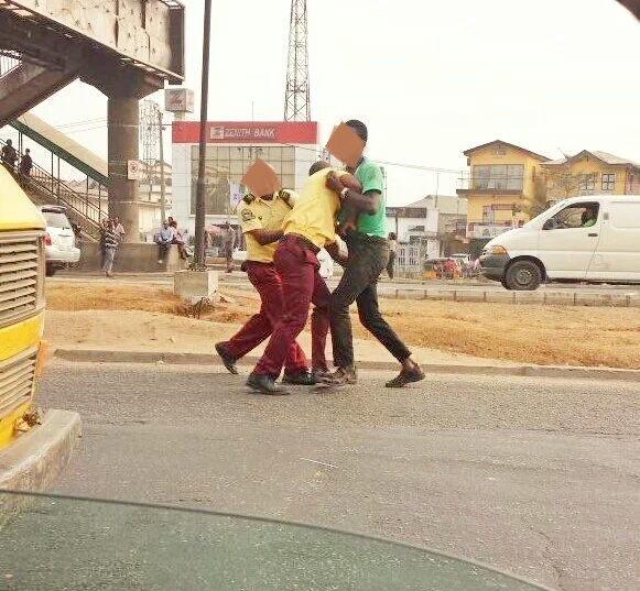 Image result for lastma