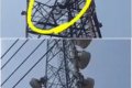 Shock As Man Climbs A Power Mast In Broad Daylight To "Take A Nap" In Ondo (Video)