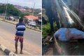 Heartbreaking! Nigerian Man Who Was Shot Dead During #EndSARS Protest In Oyo Laid To Rest (Video)