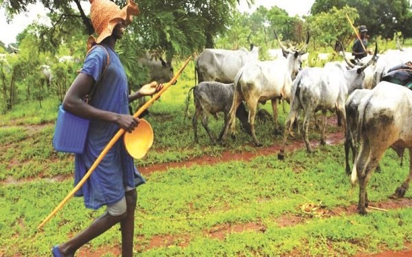Herdsmen Mount “No Cross-Zone” On Farmlands In Oyo
