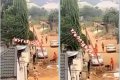 Drama As Man Releases His Dogs On Electricity Officials Disconnecting His Light In Owerri (Video)