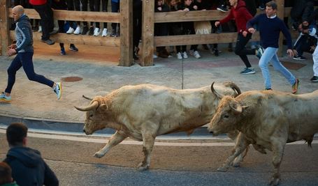 Tragedy As Man Dies After Being Gored By Bull At Spanish Festival