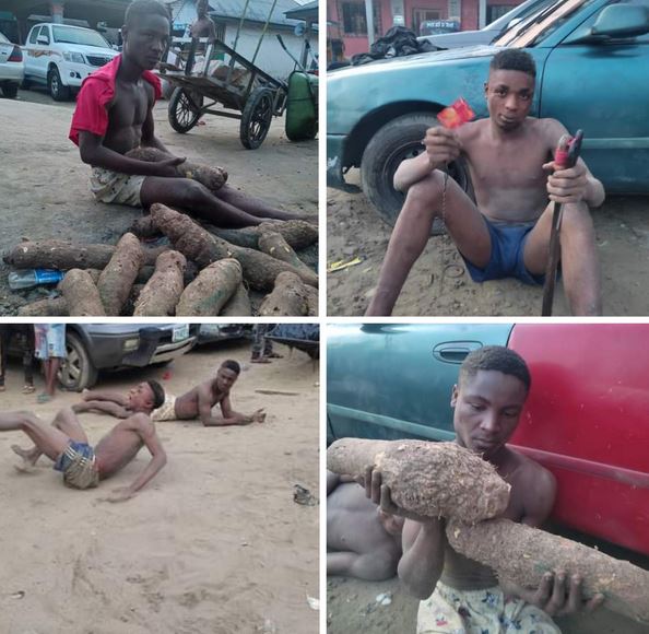 Two Suspected Thieves Nabbed With Stolen Tubers Of Yam And ATM Card In Bayelsa Community