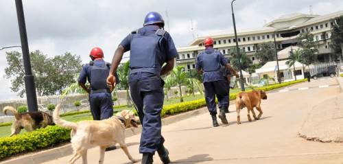 How 19 Hoodlums Were Nabbed For Allegedly Looting Rice Truck Along Kano ...